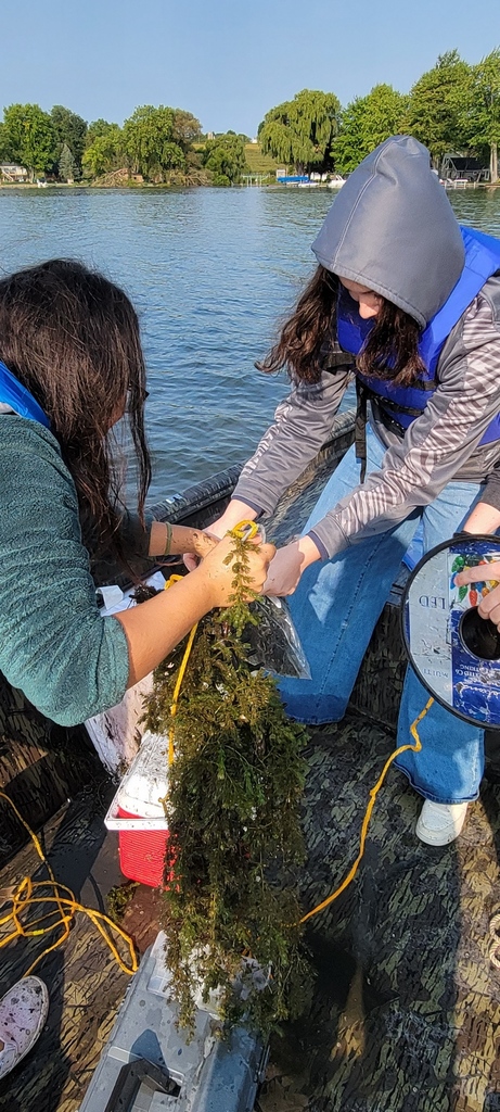 Students with seaweed