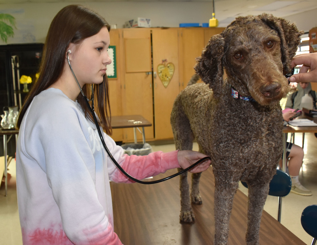 Animal Science